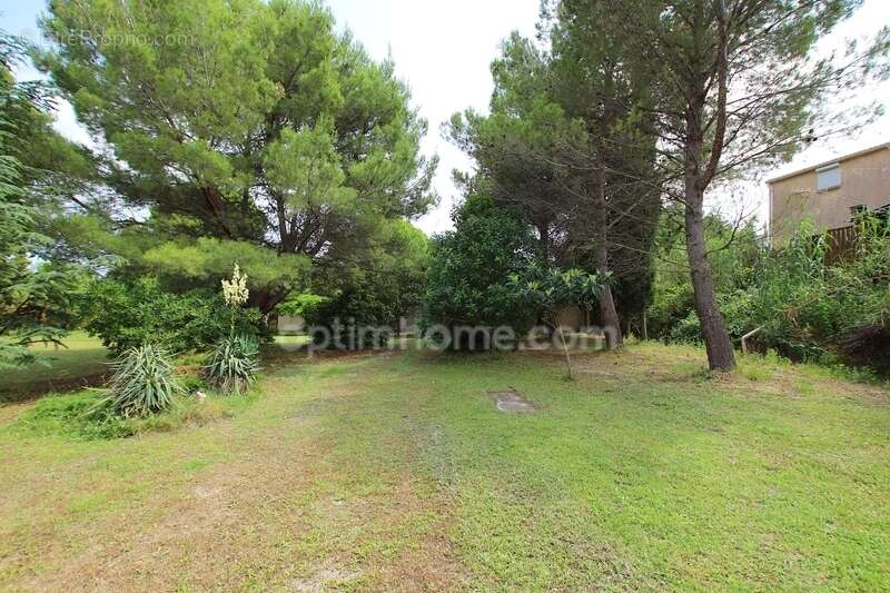 Propriete a vendre proche de l'etang de thau - photo 5