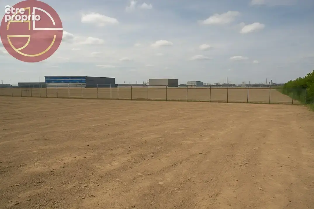 Terrain 10 000 m² à vendre à Fronton (31620) - photo 3
