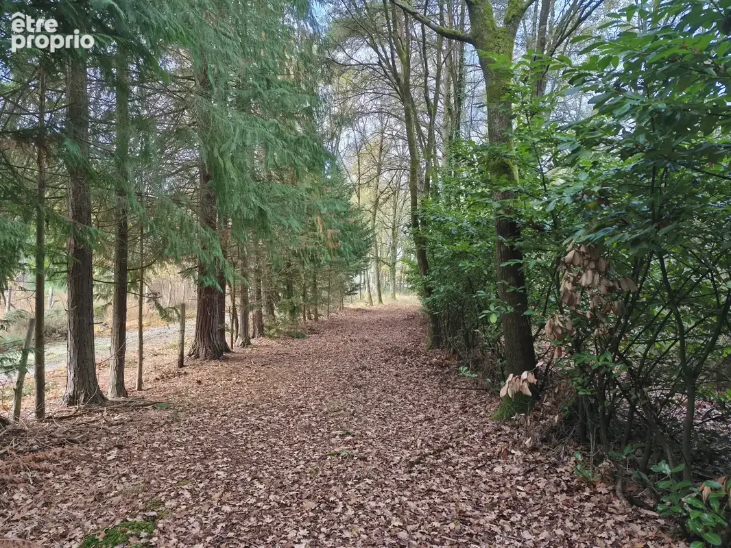 Terrain de loisir en foret au pied du circuit des 24h - photo 2