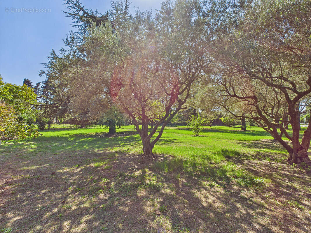 Maison à SAINT-ETIENNE-DU-GRES