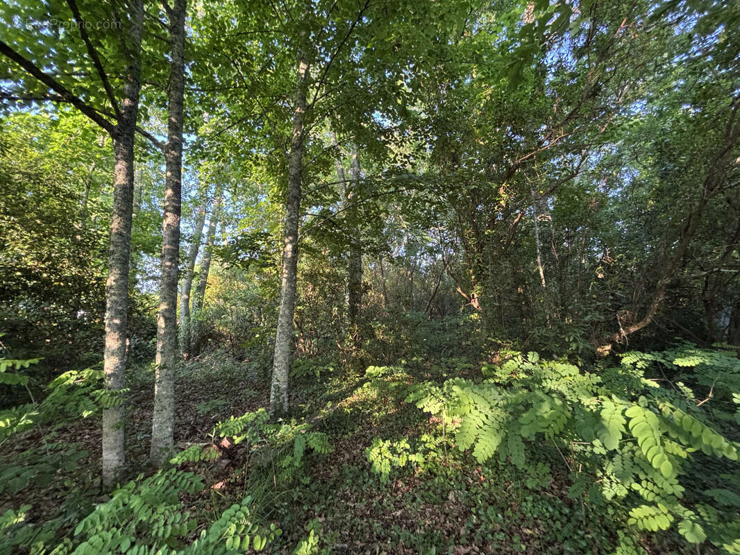 Terrain à GUJAN-MESTRAS