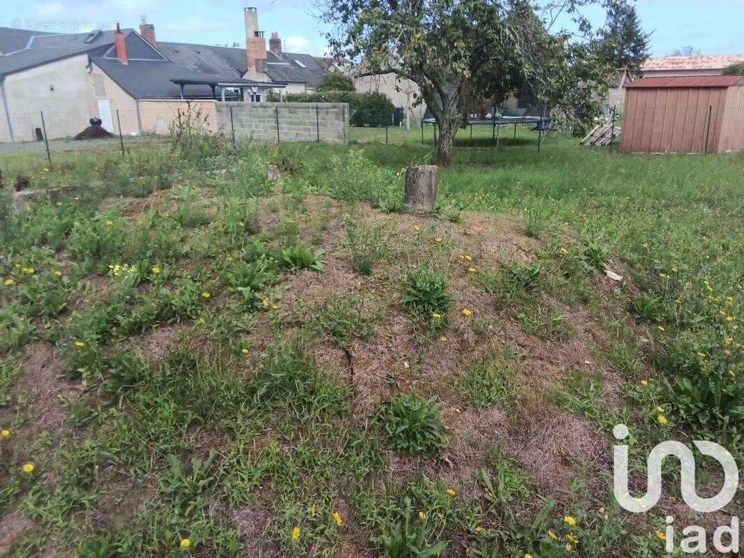 Photo 8 - Terrain à MANSIGNE