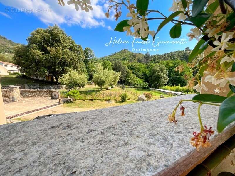 Maison à OMESSA