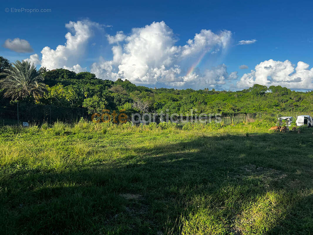 Terrain à SAINTE-ANNE