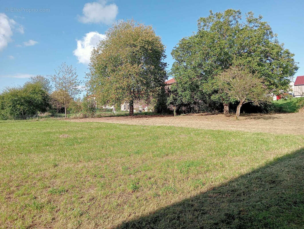 Maison à CONSENVOYE