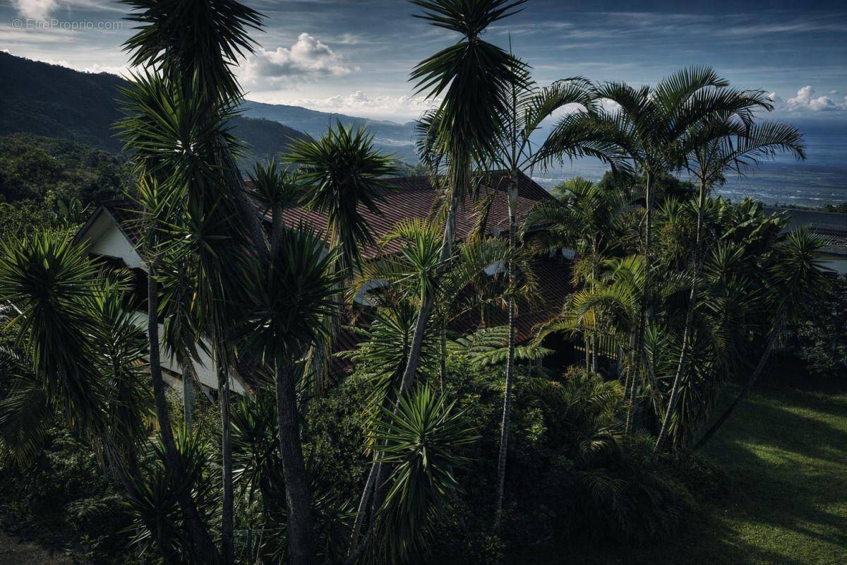 Maison à SAINT-LOUIS