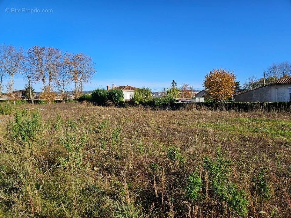 Terrain à PINS-JUSTARET