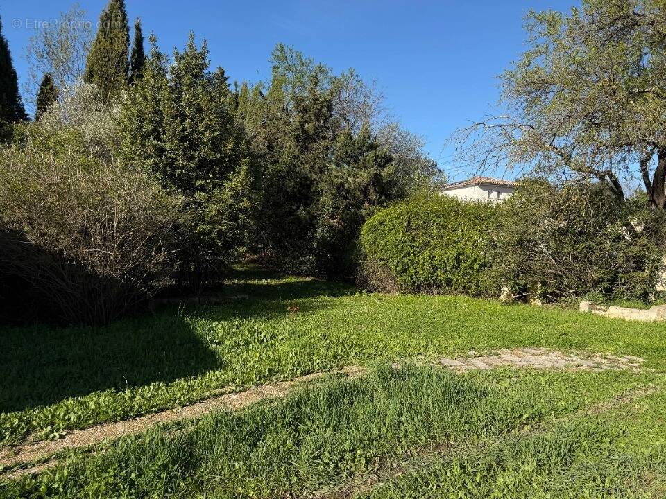 Terrain à SUSSARGUES