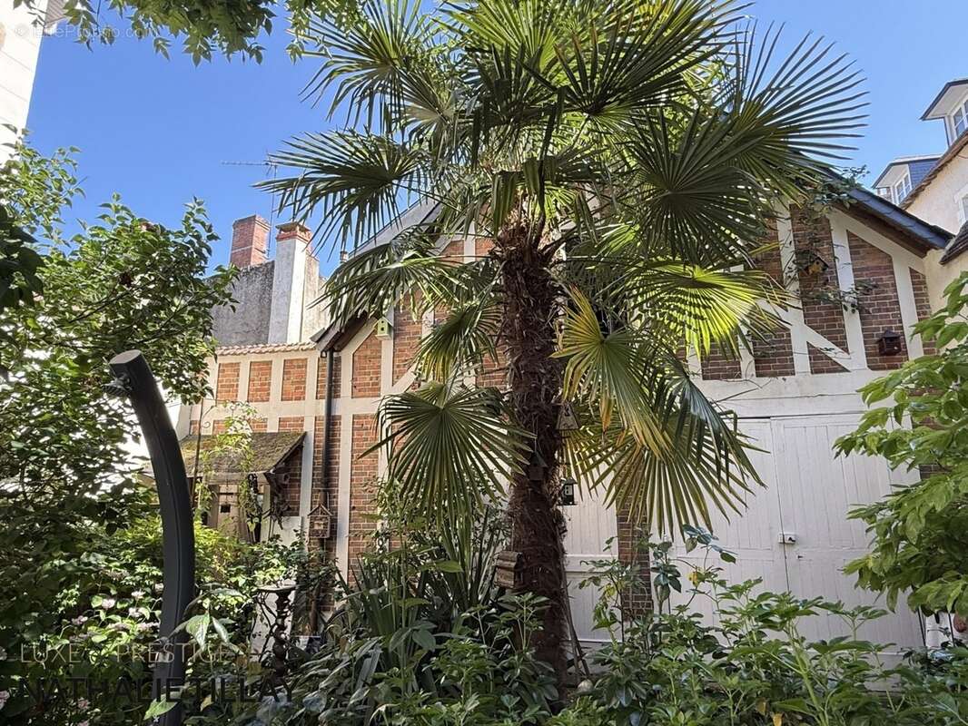 Hotel particulier de 1850 ,  à vendre ,  jardin et garage,  Orleans cathédrale - photo 24