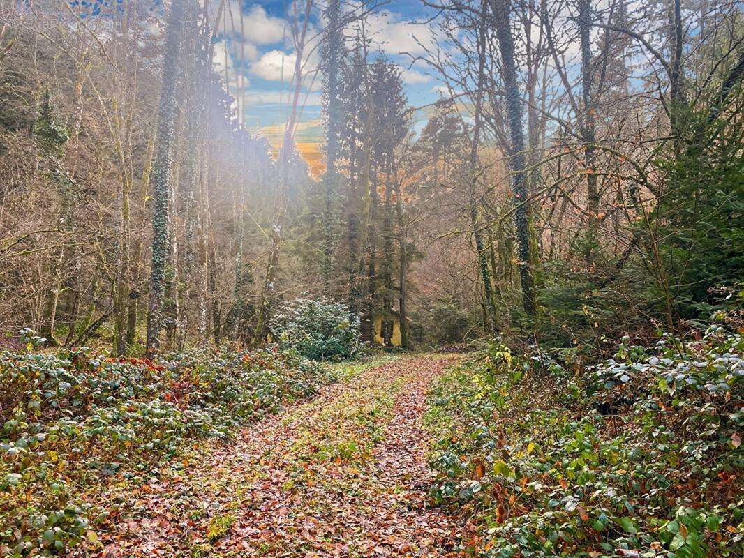 Terrain à WILLER-SUR-THUR