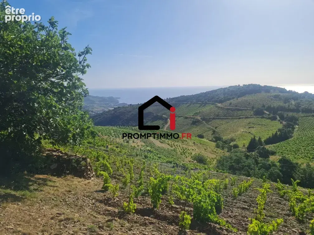 Terrain 19 805 m² à vendre à Port-Vendres (66660) - photo 2