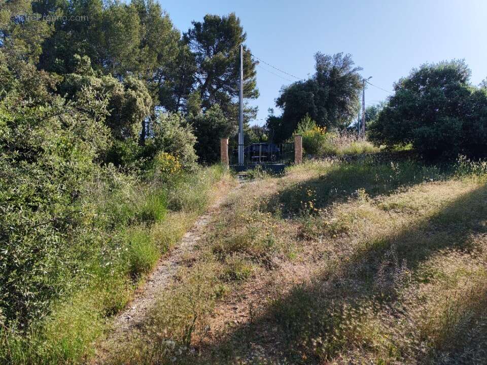 Terrain 677 m² à Lorgues  - photo 10