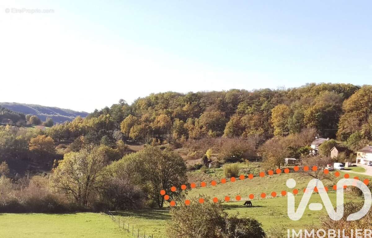 Photo 1 - Terrain à BEAUREGARD-DE-TERRASSON