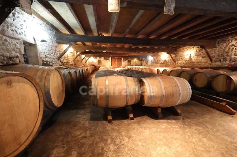 Exclusivité À VENDRE Vignoble Cru Bourgeois Médoc Vue exceptionnelle - photo 10