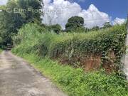 Terrain à SAINTE-MARIE