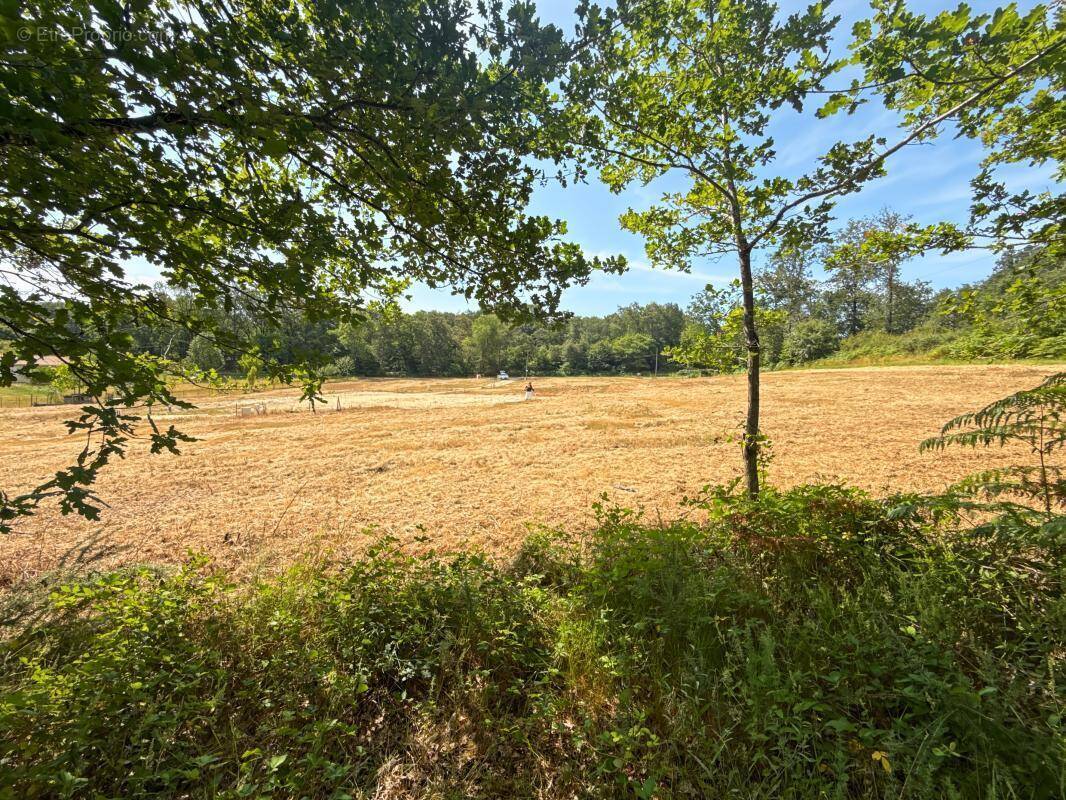 Terrain à NOTRE-DAME-DE-SANILHAC