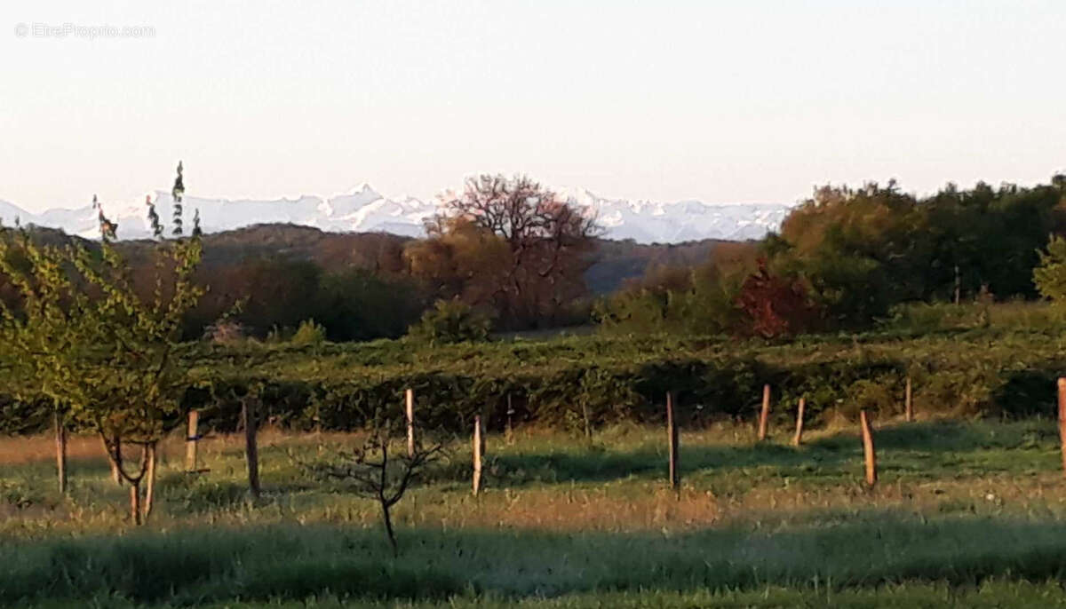 Propriété de 2.5ha avec Maison rénovée, dépendances, Vue Pyrénées - photo 33