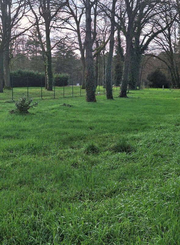 Terrain à BRAIN-SUR-ALLONNES