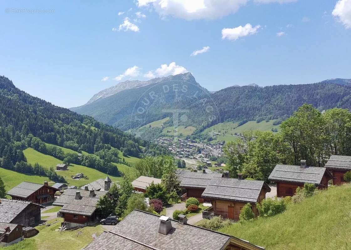 Terrain à LE GRAND-BORNAND