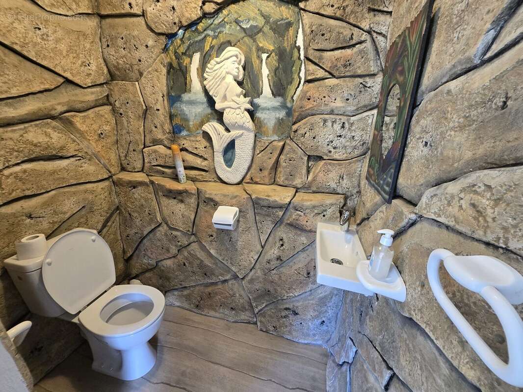 Maison à LA PLAINE-DES-PALMISTES