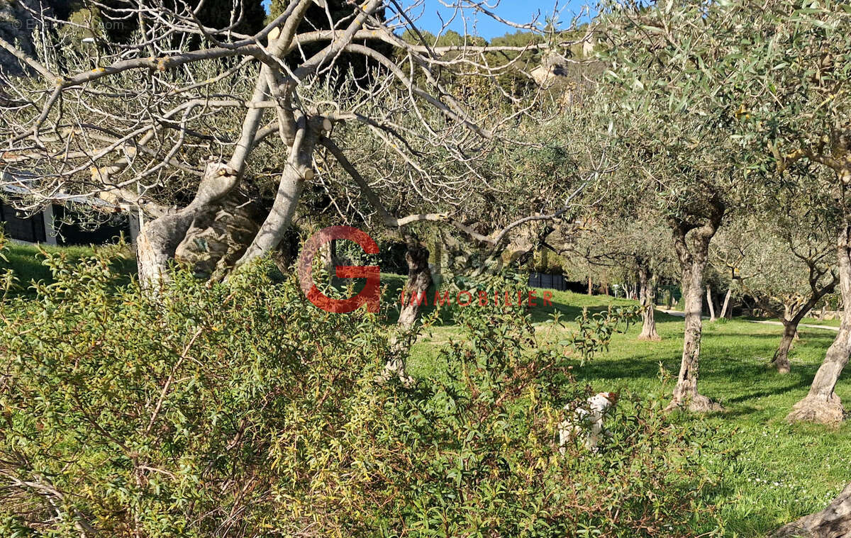 Terrain à VILLECROZE