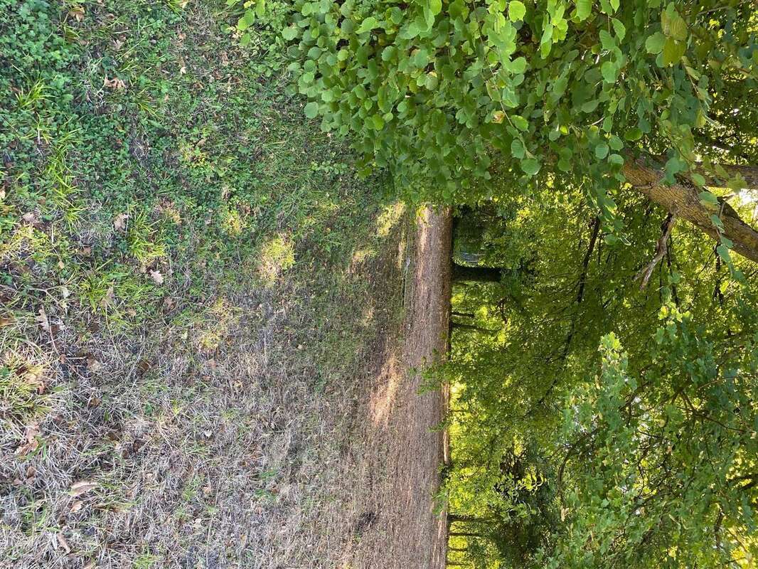 Photo 4 - Terrain à CLEREY