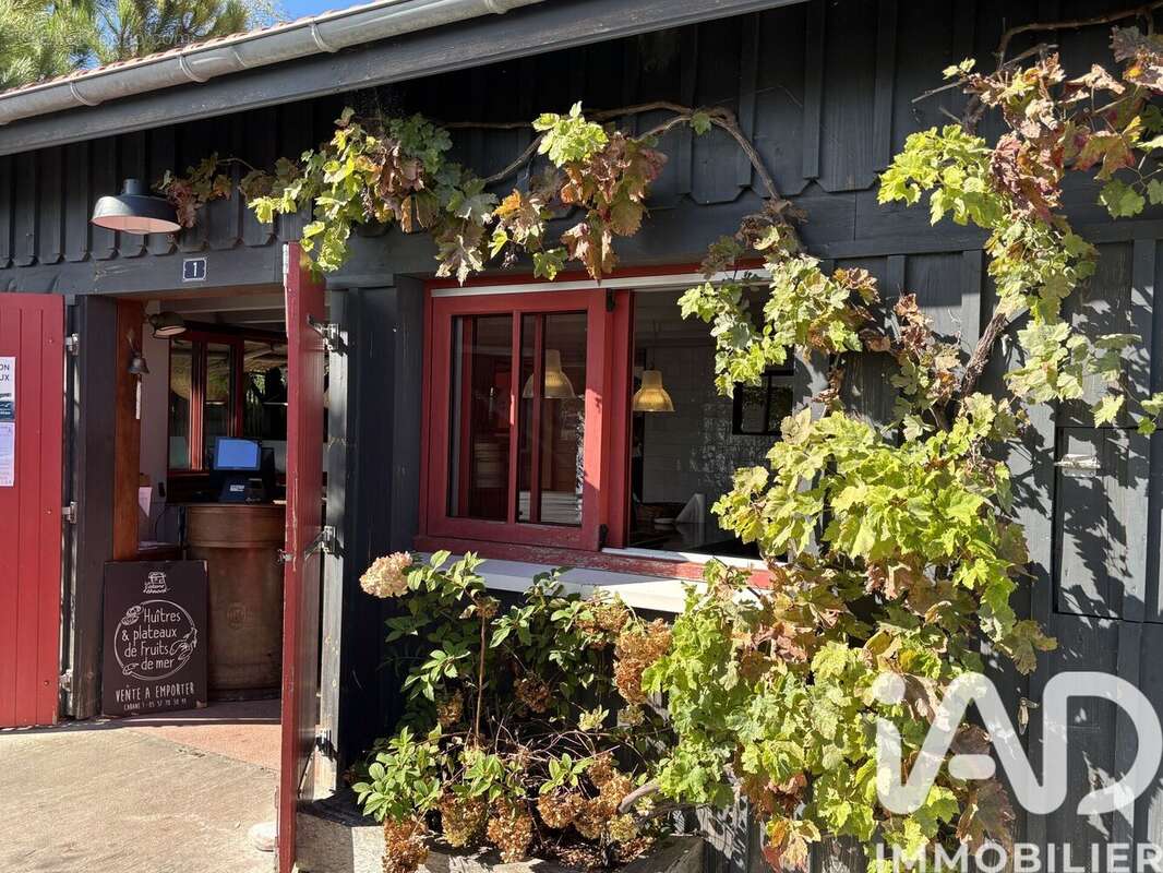 Photo 9 - Appartement à LEGE-CAP-FERRET