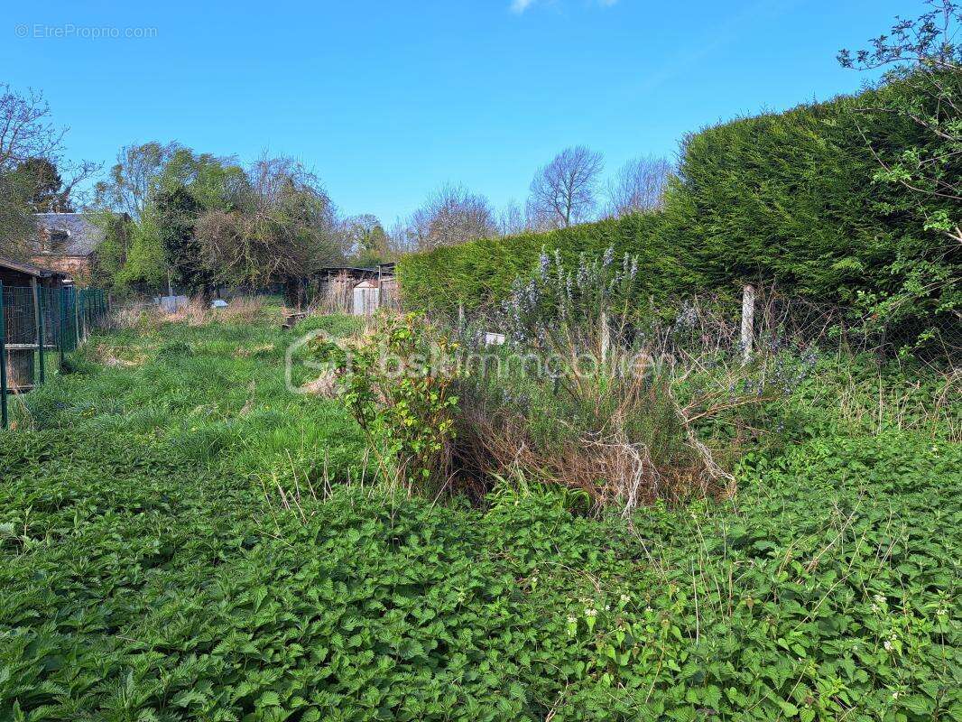 Maison de ville avec jardin proche de la gare d'abbeville - photo 10