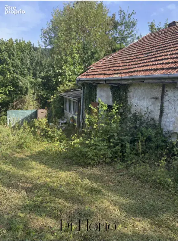 Moussey - Ferme de 1880  à rénover - Proche de l'Alsace - photo 3