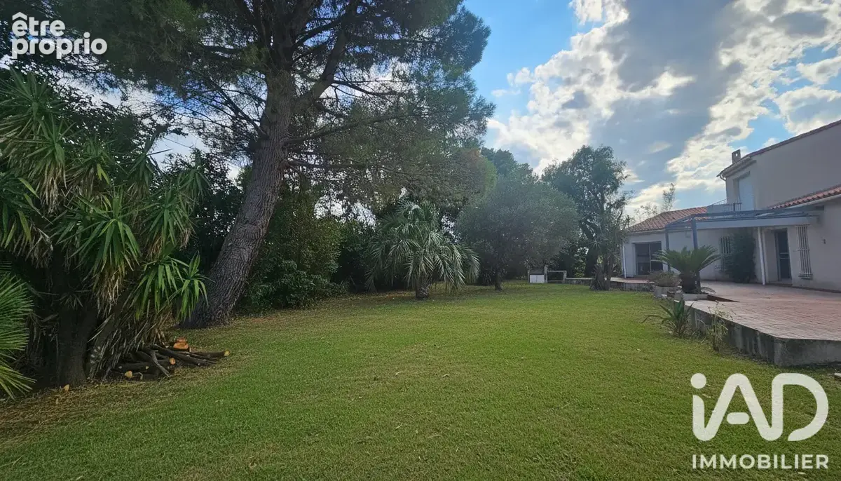 Photo 1 - Maison à MILLAS