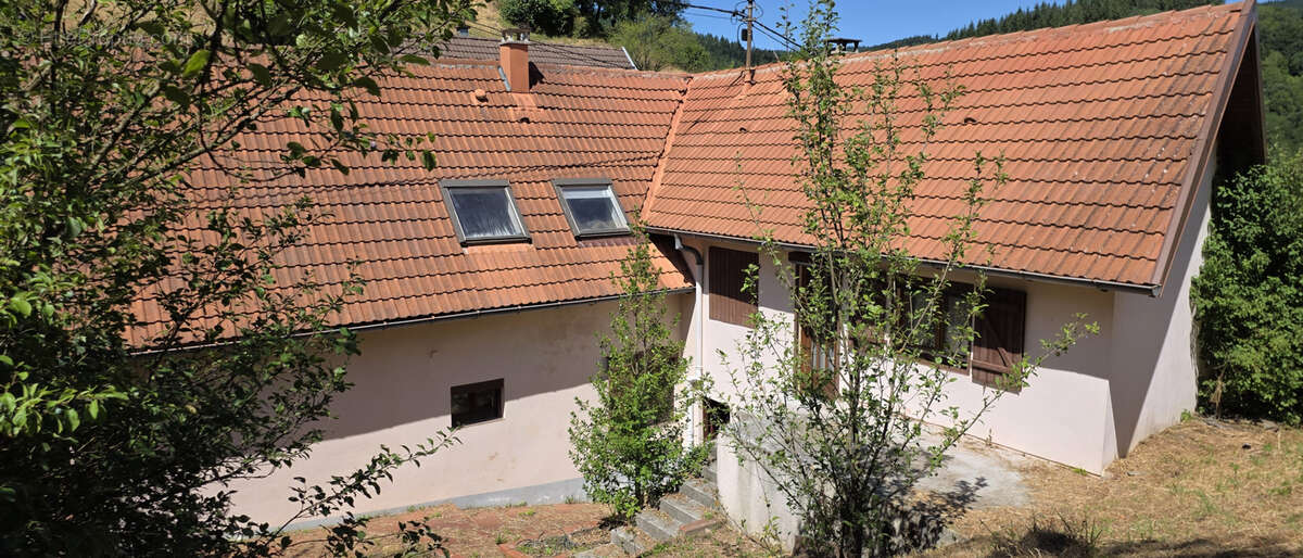 Rothau, grande maison individuelle avec logement indépendant, 12.76 ares. - photo 23