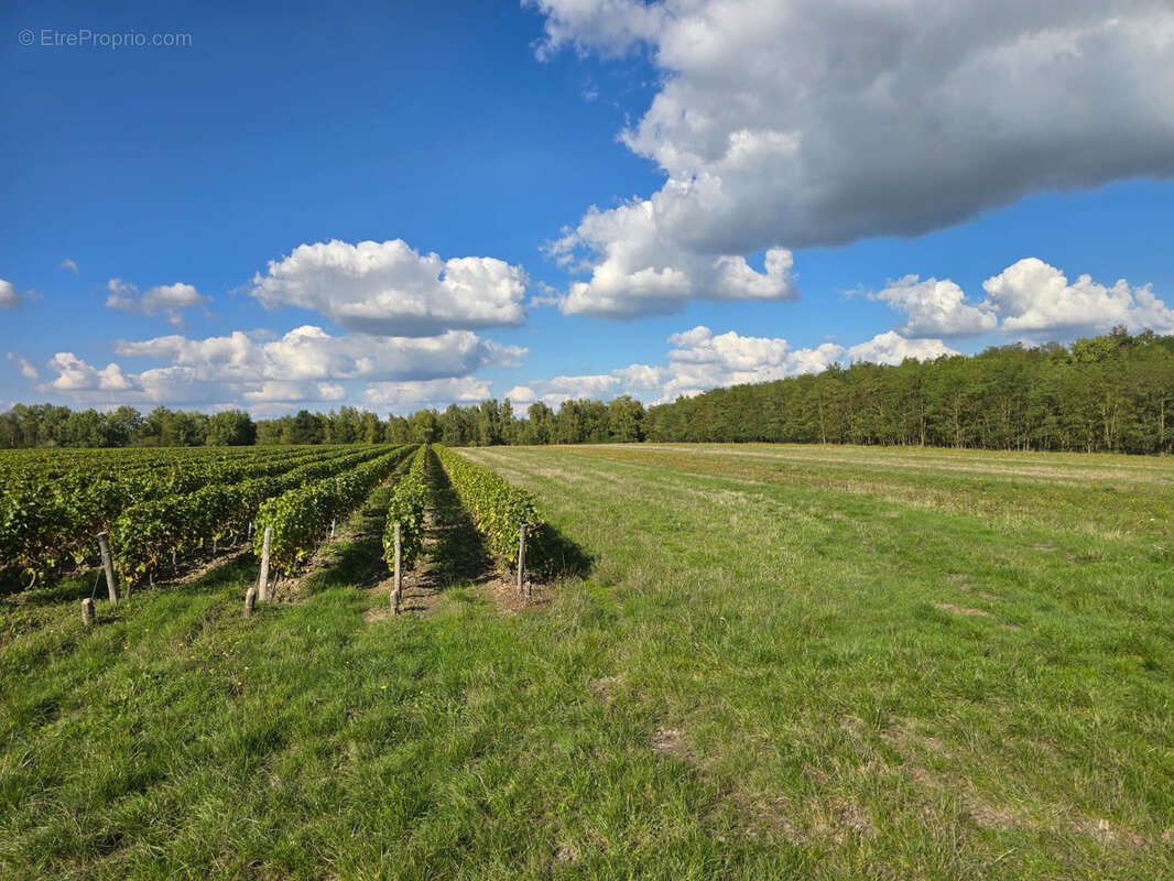 Terrain à FONTGUENAND