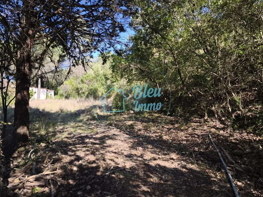 Terrain à COMBAILLAUX