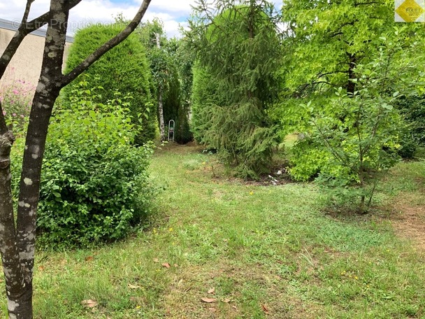 Maison à LA ROCHE-POSAY