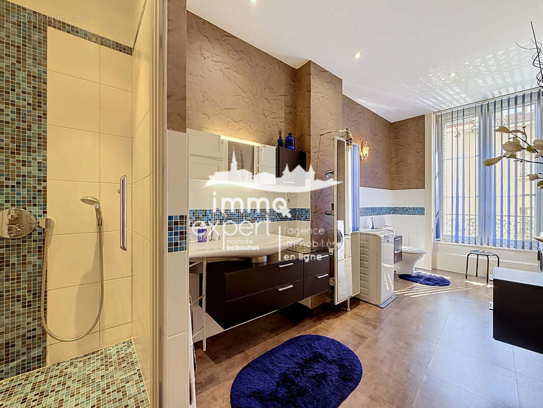 Immeuble de prestige avec appartement bourgeois, appartement loué, local professionnel et parc arboré - photo 15