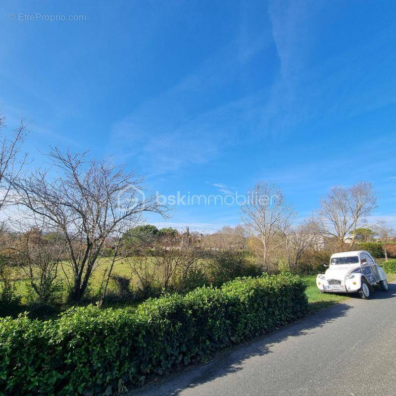 Terrain à SAINT-PUY