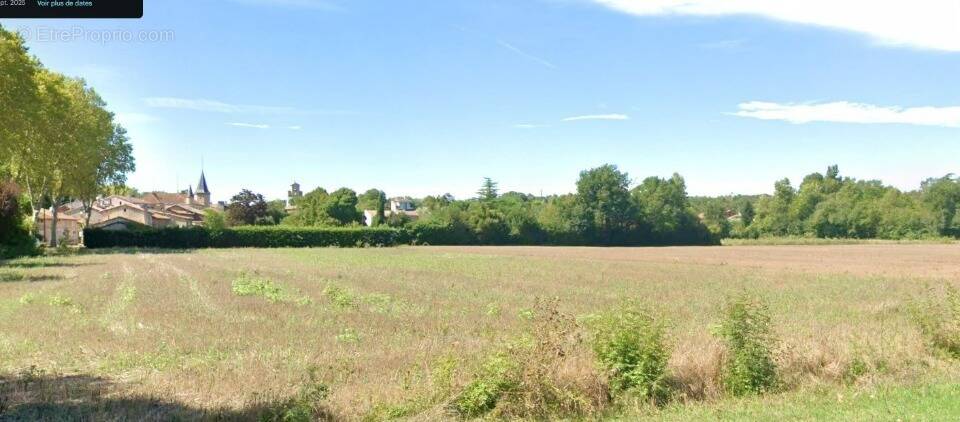 Terrain à SAINT-PAUL-SUR-SAVE