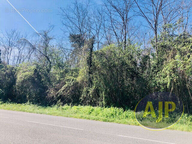 Terrain à SAINT-GERMAIN-D&#039;ESTEUIL