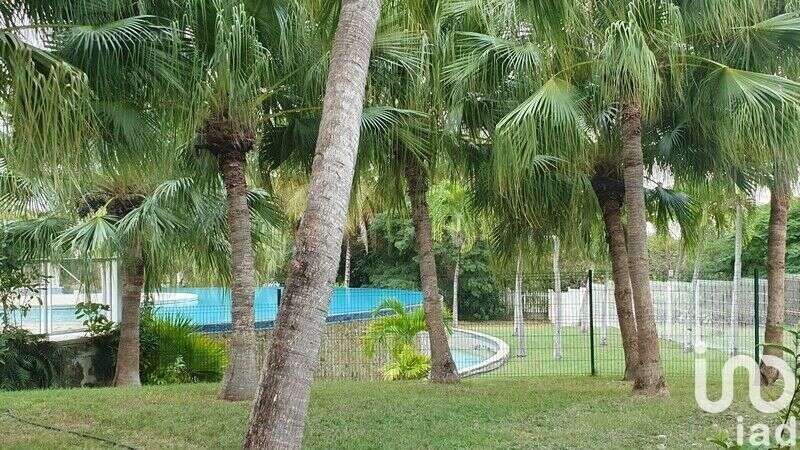 Photo 4 - Appartement à SAINT-FRANCOIS