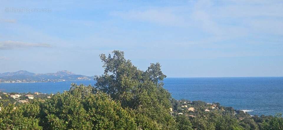 Terrain à SAINT-RAPHAEL