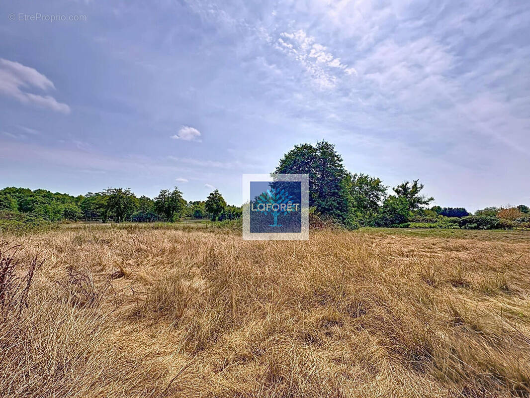 Terrain à ETAULIERS