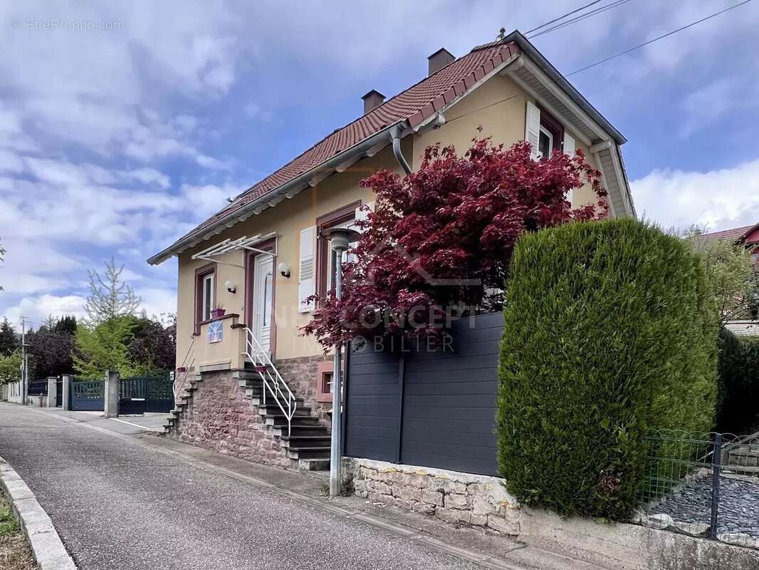 Maison à NIEDERBRONN-LES-BAINS
