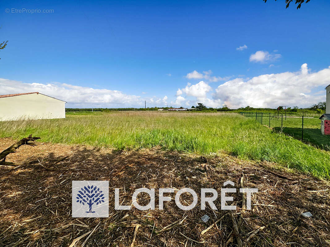 Terrain à SAINT-QUANTIN-DE-RANCANNE