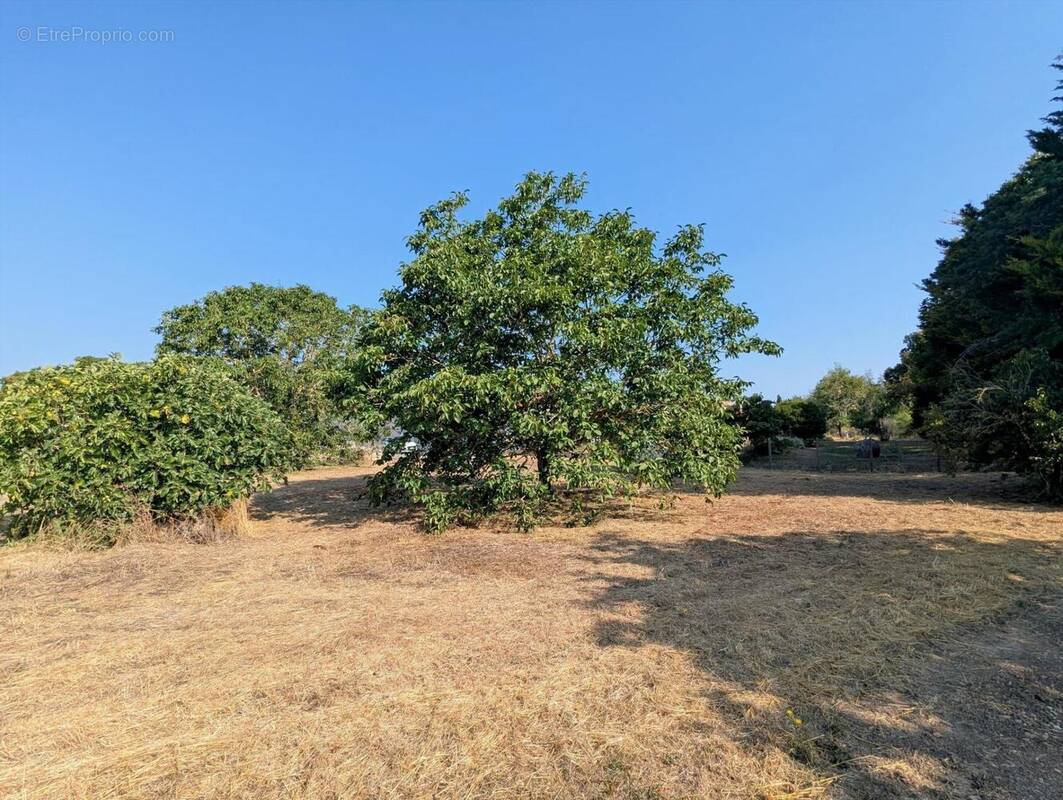 Photo 1 - Terrain à MAUZE-SUR-LE-MIGNON