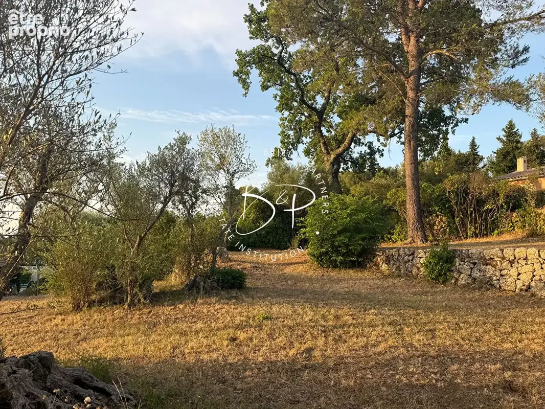 Terrain Lorgues 1200 m2 - photo 2