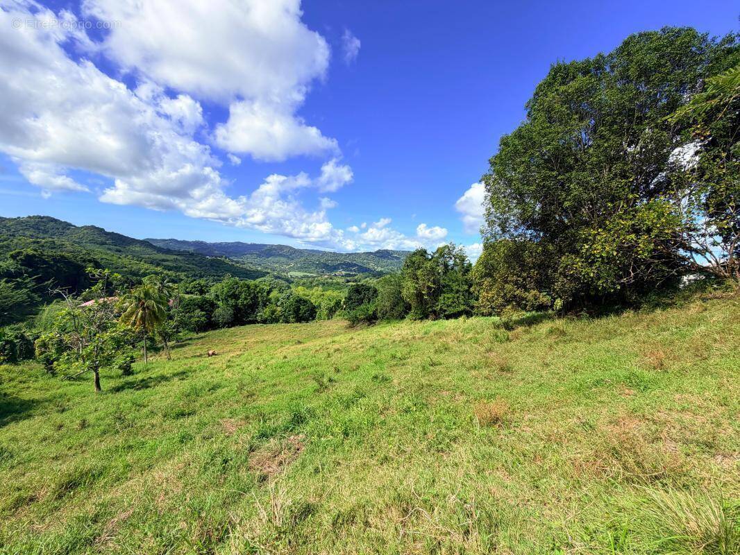 Terrain à LE VAUCLIN
