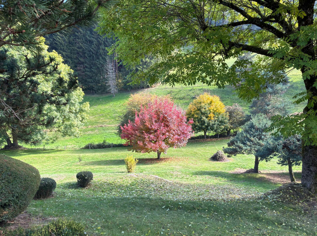 Tence/chenereilles jolie maison sur 4665 m2 de terrain - photo 7