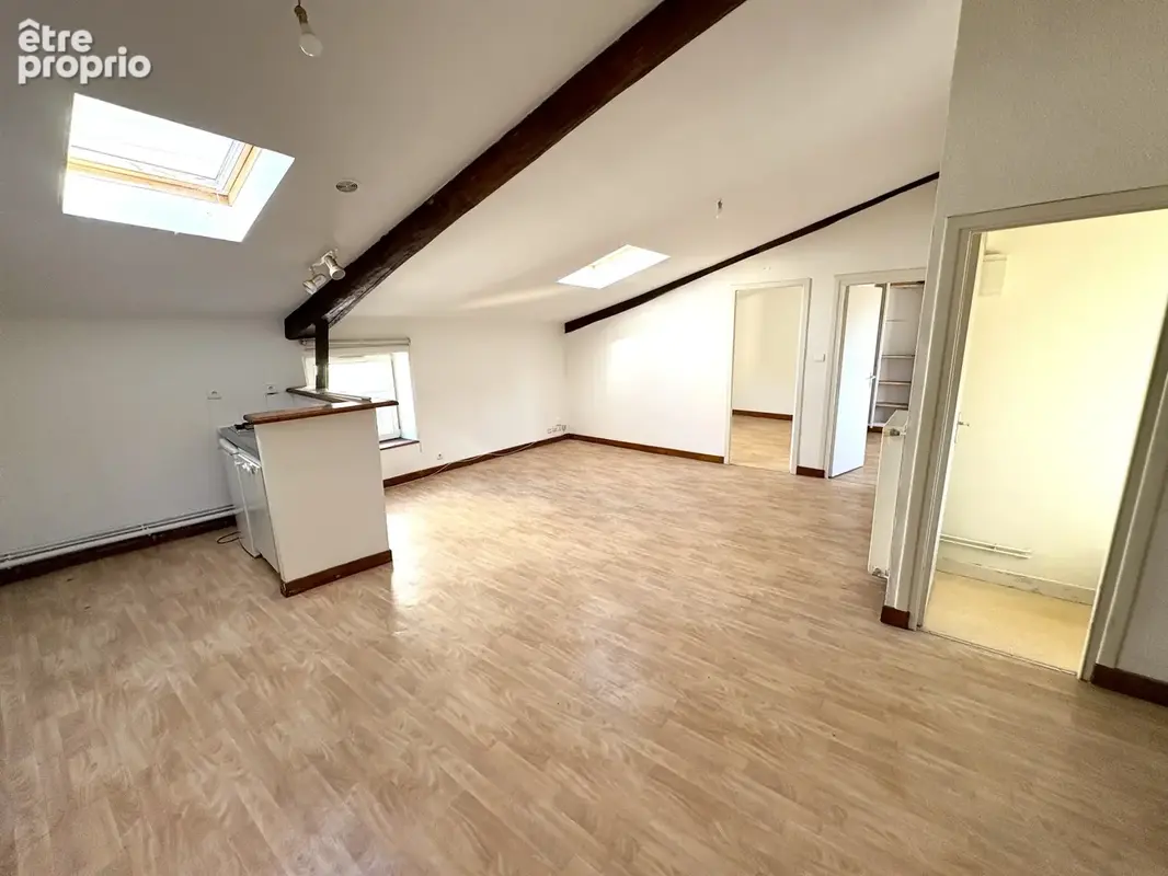 Appartement t3 / dernier étage / 48 m2 / hyper-centre / place gaillard / place de jaude / clermont-ferrand - photo 2