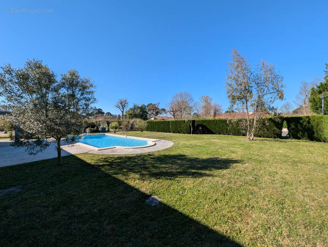 Maison à BELIN-BELIET