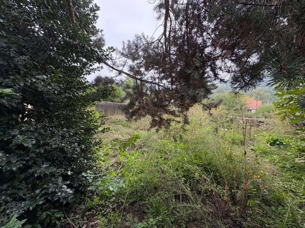 Appartement à LA FOUILLOUSE